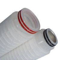 Filter membran PES 0.1 mikron hemat biaya 226 Fin 10 inci untuk filtrasi Serum darah
