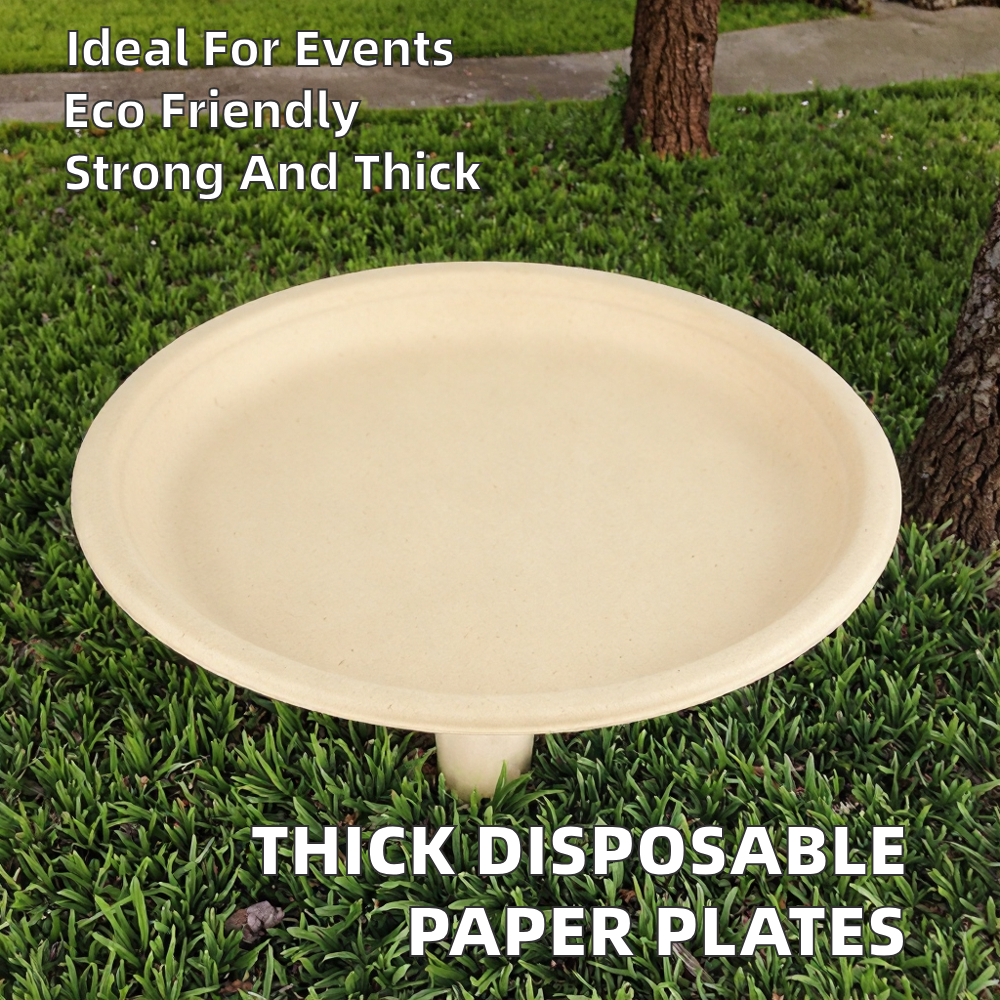 Biodegradable Sugarcane Pulp Bagasse Fiber Plates for Party Buffet Restaurant Takeaway Catering Picnic Eco Friendly Paper Plates