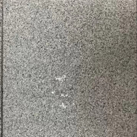 Dalle de granit noir sésame martelé, pierre naturelle pour salon moderne, cuisine, salle de bain, extérieur, hôpital, grande dalle