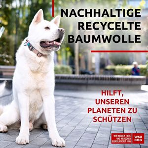 Collar de perro de algodón reflectante respetuoso con el medio ambiente DB, moderno, ajustable, pequeño, mediano, grande, macho, hembra, perros, Alt a Nylon para gatos - Product Image 2