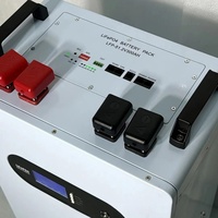 Casing Baterai Surya Lengkap 48V 314Ah dengan BMS, Konstruksi Logam Berperingkat IP54, Output 5kWh & Kabinet Penyimpanan Mobile Vertikal