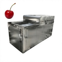 Automatische motorische fruitpitter en pitverwijderingsmachine 380V 288 stuks/min voor longan, abrikoos en kers