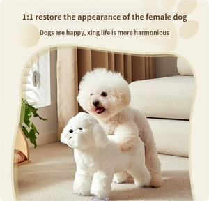 Premium Milieuvriendelijke Siliconen Cartoon Mannelijke Hond Speelgoed Lichaam-Veilig En Herbruikbaar Helpt Kalm En Trainingshonden - Product Image 2