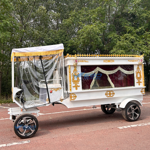 Новый Электрический Штора для похоронного Катафалка, специальный транспортный Электрический катафалк, автомобиль <span class=keywords><strong>CE</strong></span>, для продажи - Product Image 5