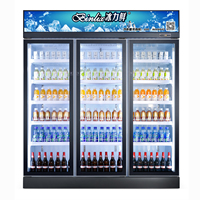 Réfrigérateur Vitrine Commerciale à Température Unique, Double Plateau, Porte Vitrée, pour Bière et Légumes