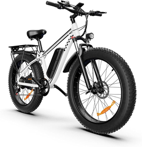 Vélo électrique haut de gamme EB26 pour adultes, pneus larges de 20 pouces, moteur 1000W, batterie au lithium 48V 15Ah, 7 vitesses, assistance au pédalage électronique numérique - Product Image 2