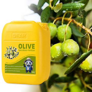 Fertilizante especial de alto rendimiento para aceitunas, fertilizante orgánico soluble en agua para aceitunas - Product Image 1