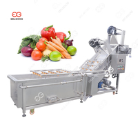 Groenten Fruit Was- en Verwerkingsmachine Fruitwaslijn Aardbeien Bosbessen Reinigingsmachine Motor 304 RVS