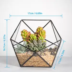 Sarung Display akrilik reptil foto terarium akrilik pot pot pot setengah bola terarium kaca geometris