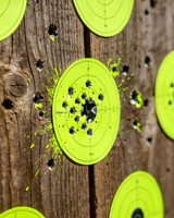 Cibles de tir réactives en forme d'écureuil, 10 anneaux, cibles en papier Bullseye pour la pratique de tir en intérieur et en extérieur, la chasse et l'entraînement