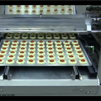 Nouvelle ligne de production de machine à biscuits automatique multifonctionnelle de couleur unique pour le fournisseur de l'usine