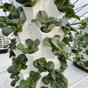 Tour d'équipement de ferme système hydroponique de jardin ananas en croissance tours aéroponiques jardin système agricole vertical - Product Image 6