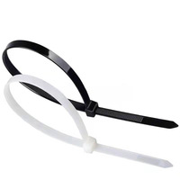 4.8X160mm 100pcs Usine Fourniture Directe de Haute Qualité Plastique Nylon Autobloquant Attaches de Câble Meilleurs Prix Compétitifs