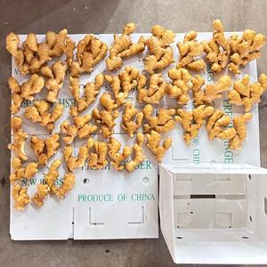 متوفر في المخزون من الصين للبيع بأسعار جيدة شراء بالخضار - Product Image 2