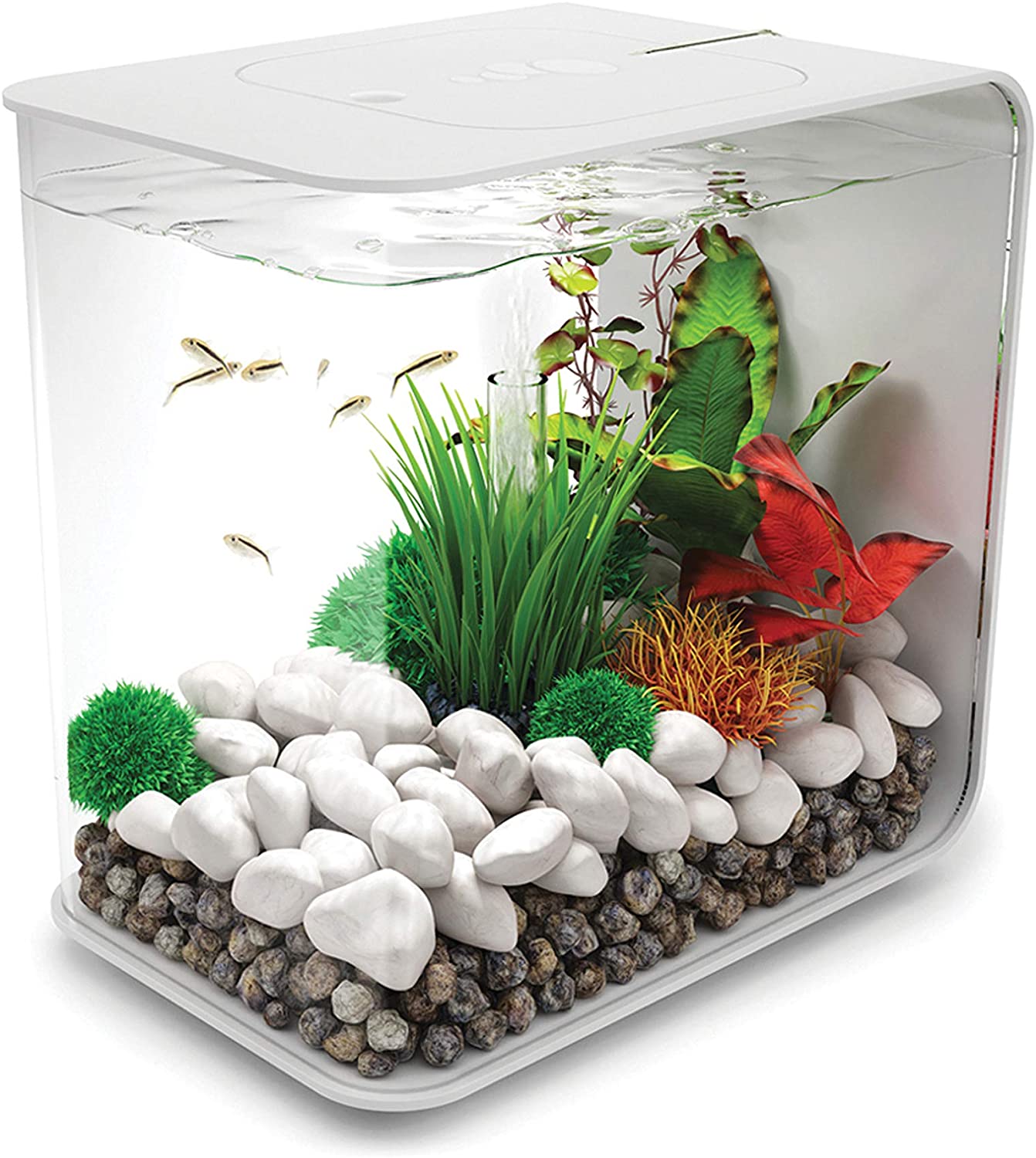 мелкий аквариум. аквариум daquarium 5л (17x17x17). круглый аквариум. аквариум tetra cascade. аквариум барбус betta box.