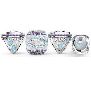 Bagues de championnat personnalisées pour hommes, de haute qualité, pour le baseball, le softball et le hockey sur glace, avec nom et logo personnalisés - Product Image 5