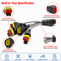 Connecteur automobile étanche personnalisé à 2 broches, faisceau de câblage en Y, 1 à 4 prises mâles/femelles, câblage parallèle, câble gris OEM
