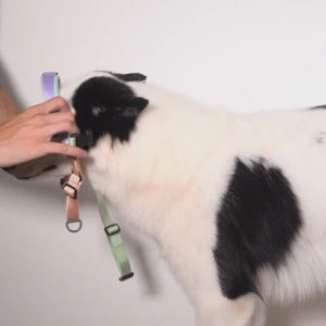 Harga pantas <span class=keywords><strong>Harness</strong></span> anjing Xl rompi untuk Hiking disesuaikan anjing taktis besar <span class=keywords><strong>Harness</strong></span> tanpa tarik <span class=keywords><strong>Harness</strong></span> - Product Image 4