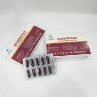 Capsules de Cordyceps Militaris Naturel - Améliore l'Immunité, 24g par Flacon, Convient aux Adultes