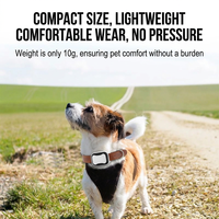 Traceur GPS pour animaux de compagnie, sans carte SIM, compatible Android et iOS, localisateur anti-perte, navigation en un clic pour chiens et chats