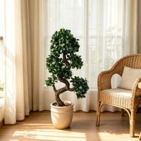 Arbre Bonsaï Ficus Artificiel Moderne en Plastique Écologique Léger avec Tronc Torsadé Simulé Ficus Microcarpa pour Table de Maison