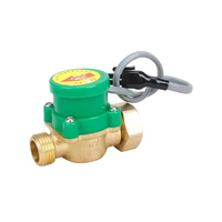 Nouveau 1/2 3/4 1 pouce en laiton électronique magnétique contrôleur de débit d'eau et interrupteur de capteur pour les pipelines de médias liquides