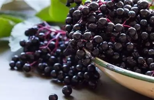 Poudre de baies d'açaï de haute pureté 80 mesh, qualité alimentaire, antioxydant, personnalisable, échantillon gratuit, qualité assurée - Product Image 3