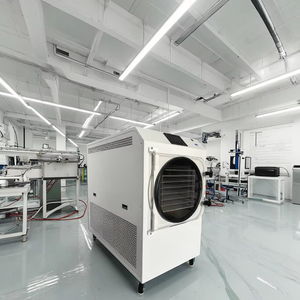 Commercial Freeze Dryer Machine Commercial Freeze Dryer Vacuum Dryer Machine - Product Image 4