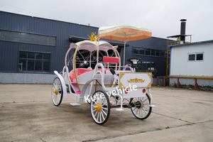 Voiture électrique de tourisme vintage certifiée CE, chariot royal rétro, véhicule navette électrique avec taille et couleur personnalisables - Product Image 5