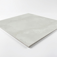 Carrelage en porcelaine émaillée gris clair 60x60, finition brillante pour projets résidentiels