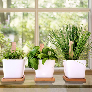 Kit de <span class=keywords><strong>jardín</strong></span> de hierbas para interiores, cocina completa, alféizar de ventana, <span class=keywords><strong>jardín</strong></span> de hierbas, hierba orgánica para interiores, regalos de jardinería, Kits de bricolaje para <span class=keywords><strong>mujeres</strong></span> y hombres - Product Image 3