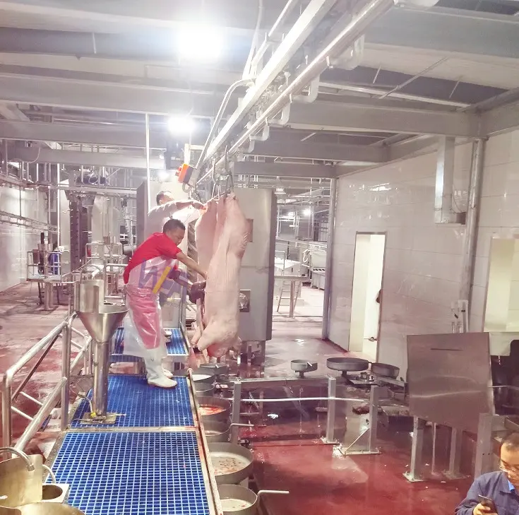 Small Scale Mini Abattoir Plant Pork Meat Processing For Pig Slaugherhouse Equipment
