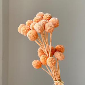 Boules dorées éternelles naturelles préservées en gros, solution tout-en-un pour la décoration de mariages, de la fête des Mères et de Noël - Product Image 2