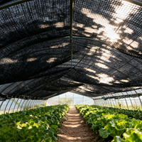 Filet d'ombrage agricole vert en HDPE anti-UV pour serre, taux d'ombrage 70%, protection des vergers et des cultures