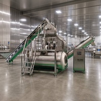 Industriële automatische stoomschiller voor fruit en groenten, hoogrendements voedselverwerkingsmachine