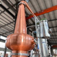 TW Professional Copper Pot Still Distiller-Équipement de distillation du whisky 100L avec colonne de cuivre (certifié CE/IECEX)