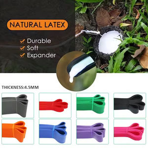 Bandas de Resistencia para Hacer Ejercicio, Bandas de Asistencia para Dominadas, Bandas de Ejercicio de Nivel Superior con Bolsa para Entrenamientos en Casa - Product Image 2