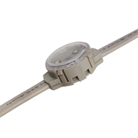 Lampes LED à points RVB/RVBW programmables automatiquement IP67 30mm SMD3535 12V en PVC pour l'intérieur, l'extérieur, le paysage et les attractions