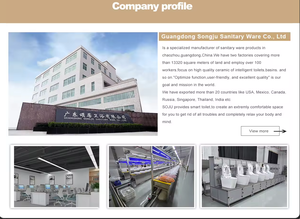 Thông Minh WC Nhà Vệ Sinh Kép Flush Tự Động Cảm Biến Một Mảnh Gốm Hình Dạng Trứng Thông Minh Nhà Vệ Sinh Cho Ấn Độ Phòng Tắm Chậu Vệ Sinh Thông Minh Nhà Vệ Sinh - Product Image 5