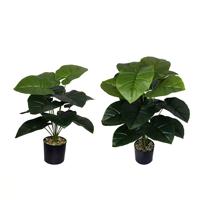 Vente directe d'usine, arrangement d'arbres décoratifs d'intérieur et d'extérieur, plante à oreilles d'éléphant, plante artificielle