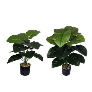 Planta Artificial Decorativa para Interiores y Exteriores, Arreglo <span class=keywords><strong>de</strong></span> Árboles, Planta <span class=keywords><strong>Oreja</strong></span> <span class=keywords><strong>de</strong></span> <span class=keywords><strong>Elefante</strong></span>, Venta Directa <span class=keywords><strong>de</strong></span> Fábrica - Product Image 1