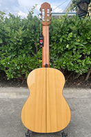 Aiersi Brand High Quality All Solid Cedar Top Flamenco 39 Inch Classical Guitar for Sale Professional Instrument