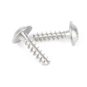 ステンレス钢Torxソケットパンヘッドタッピングネジフラットテール付きプラスチック用 - Product Image 4