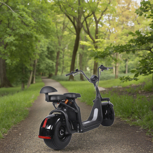 Precio de fábrica 60V <span class=keywords><strong>Harley</strong></span> DIY Grado Scooter eléctrico para pilotos para motocicletas y coches para uso industrial - Product Image 5