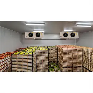 ثلاجة دولويو الكل في واحد مبرد غرفة التجميد نظام التخزين في الغرفة الباردة لتخزين الفاكهة السعر