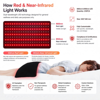 Tapis de luminothérapie rouge pour animaux de compagnie, portable, 660nm 850nm, 210 LED, 540*340mm, fonction chauffante, certifié CE, OEM ODM, conception personnalisée, pour pattes et tête