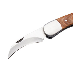 Wellflyer Bo-384 Thép Không Gỉ Nấm Dao Dao Bỏ Túi Dao Dã Ngoại Dao Cắm Trại Công Cụ Với Tay Cầm Bằng Gỗ Và Bàn Chải - Product Image 5