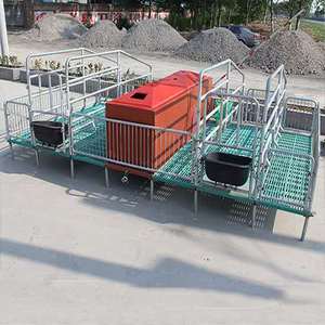 Most Popular Composite Farrowing Crate <b>Floor</b> for Swine Breeding Comfortable Safe and Easy to Clean - Product Image 1