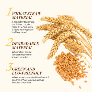 Brosse à Cheveux Shampoing en Paille de Blé, Peigne de Massage Capillaire avec Peigne Démêlant à Dents Larges - Product Image 3