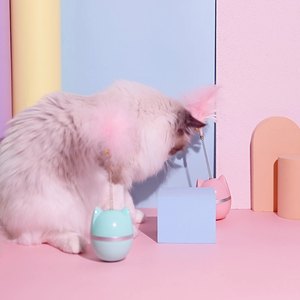 Hot Selling High Quality Funny Cat Face Tumbler With Feather Cat Teaser Interactive Movement <b>Pet</b> <b>Toys</b> Relieve Boredom Cat <b>Toys</b> - Product Image 3